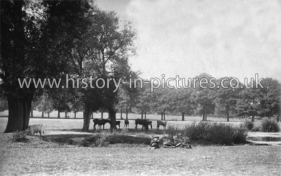 The Green, Theydon Bois, Essex. c.1910